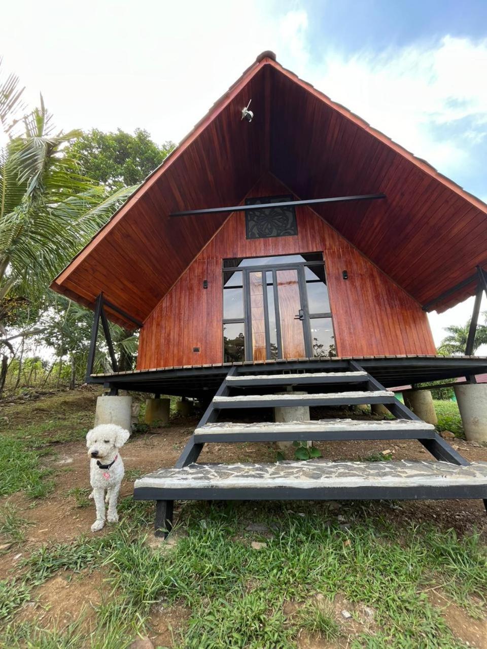 Myra Chalets Bijagua Exteriér fotografie