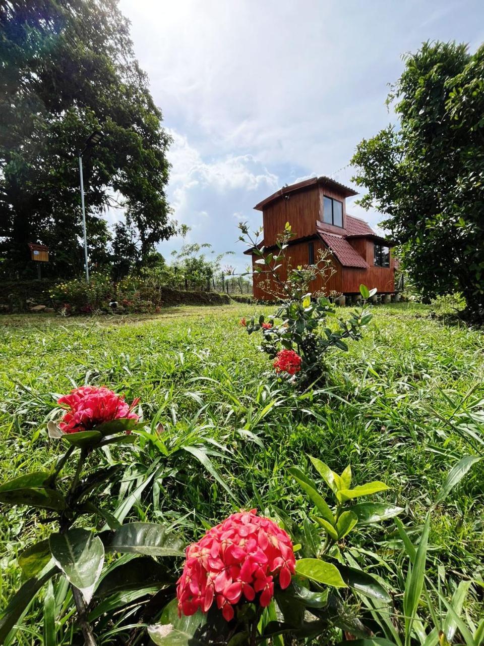 Myra Chalets Bijagua Exteriér fotografie